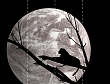 0505-0508